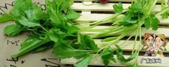 大叶芹怎么冷冻保存,大叶芹怎么冷冻保管好