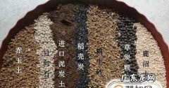 吹雪之松锦怎样爆盆