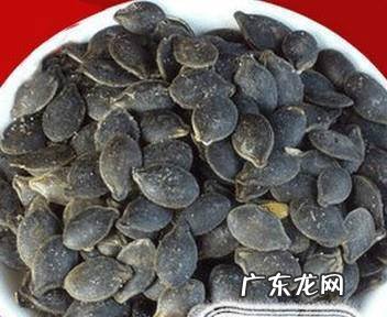 丝瓜催芽和移植