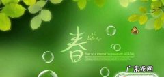 四季海棠怎么修剪