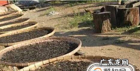 茶叶枕头的制作方法