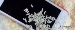手机掉水里大米埋多久,手机掉水里大米埋多久可以充电