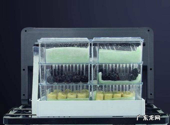 新手想要养草开缸基础选材