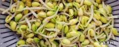 豆子发芽了能吃吗,豆子发芽了能吃吗有毒吗