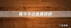 黄乎乎还是黄呼呼,黄呼呼的什么