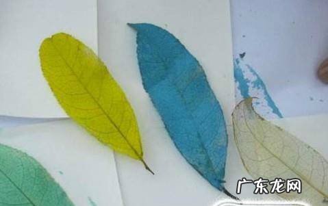 如何制作彩色透明树叶