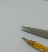 剪纸：各种树木