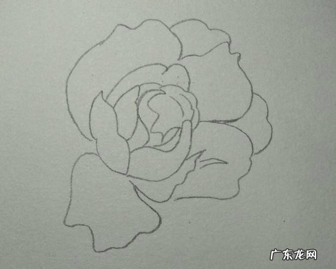 蓝色妖姬简笔画
