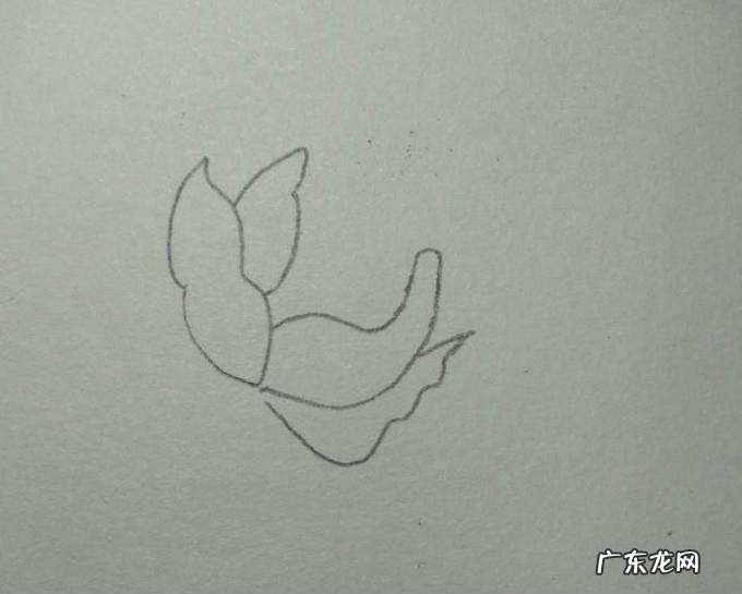 蓝色妖姬简笔画