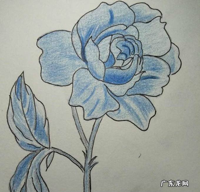 蓝色妖姬简笔画