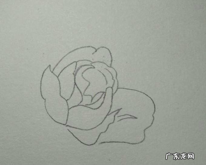 蓝色妖姬简笔画
