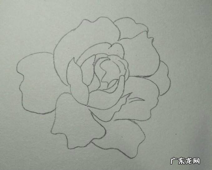 蓝色妖姬简笔画