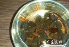 怎样让种子快速发芽