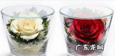 如何制作永生花