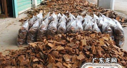 兰花怎么养:兰花植料配比--树皮篇