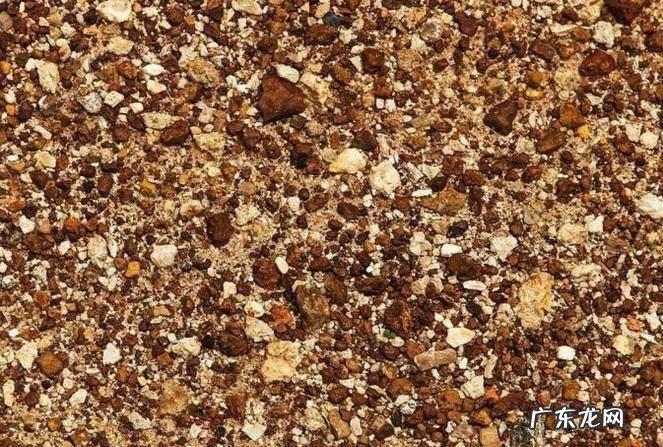 兰花怎么养:兰花植料配比--树皮篇