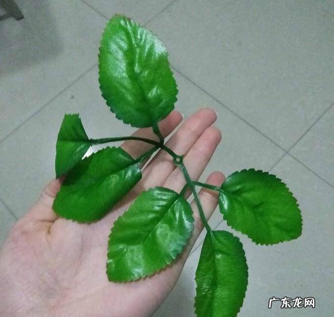 手工牡丹花的制作