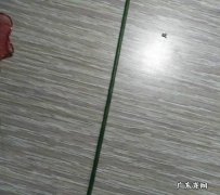 手工牡丹花的制作