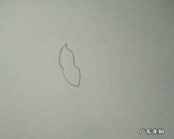 怎样让君子兰一年开两次花