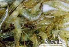 虾饺子馅做法大全