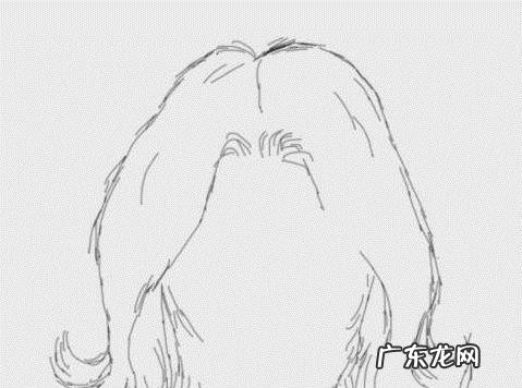 教你画漫画人物的头部