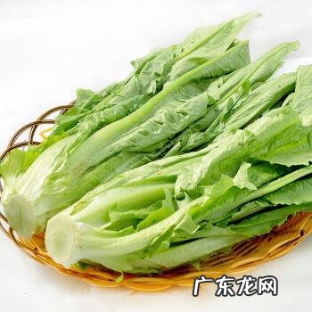 3月份当季蔬菜有哪些？这些蔬菜新鲜又便宜,赶紧来看看吧