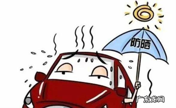 室内如何养好平安树