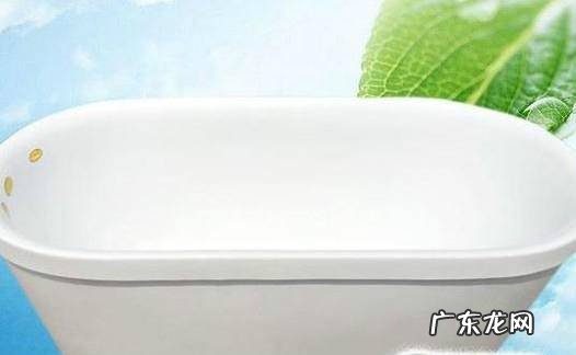 芋头水培当漂亮的盆景