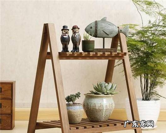 多肉植物的肉肉蔫了怎么办