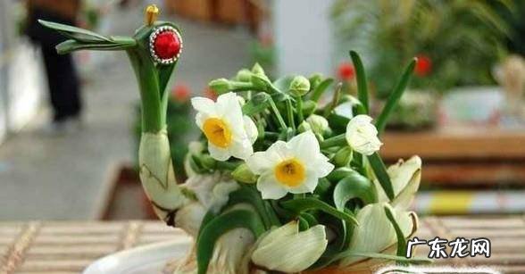 水仙花种植方法