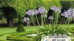 家里怕冷的花草多肉蔬菜等植物怎么过冬