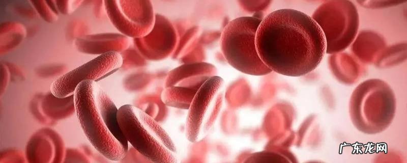 a型b型能生出o型吗,A型和b型可以生出来o型吗