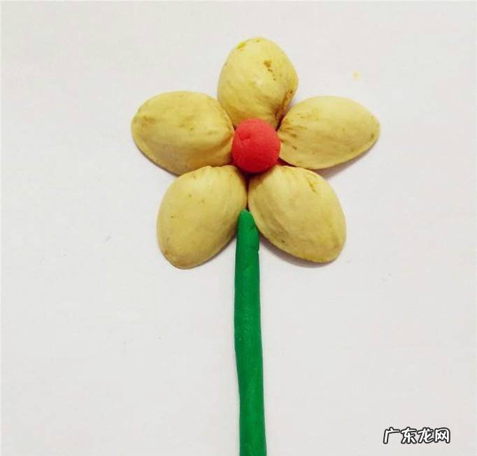 怎么用开心果壳制作漂亮的花儿