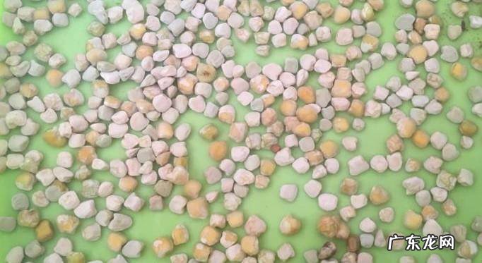 如何自己在家种植豆苗