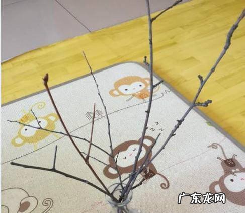 怎么用蜡烛做梅花