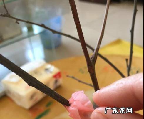 怎么用蜡烛做梅花