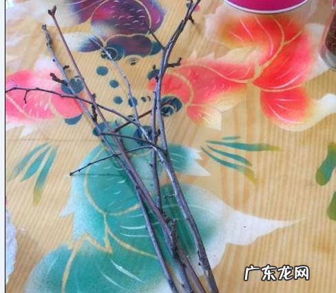 怎么用蜡烛做梅花