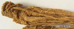 当归什么味道,当归什么味道有没有药味
