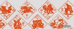 杂七杂八打个生肖,杂七九八是什么生肖
