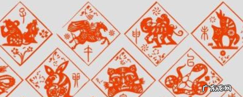 杂七杂八打个生肖,杂七九八是什么生肖