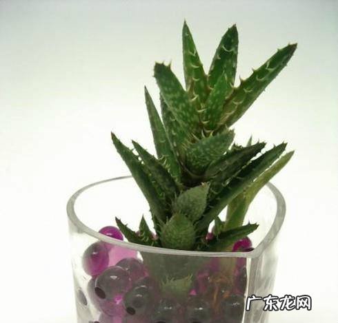 怎样正确使用水晶泥