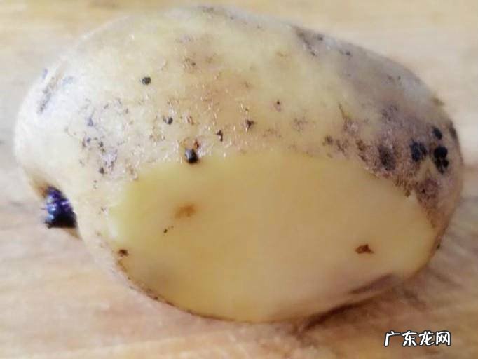 土豆手工制作刺猬