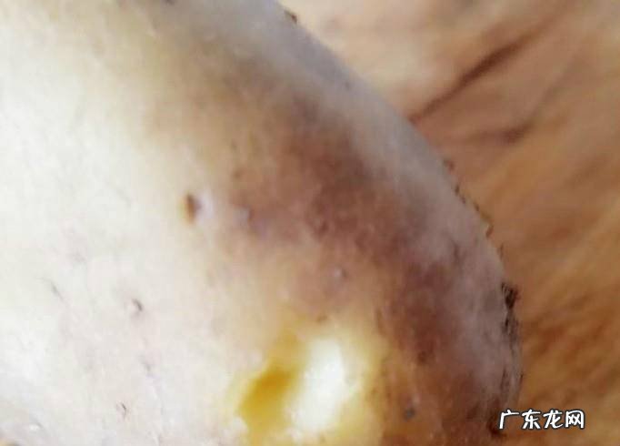 土豆手工制作刺猬