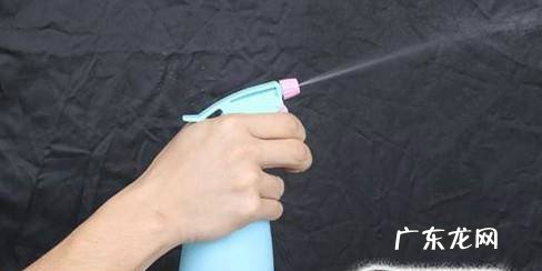 如何养好水培的杜鹃花