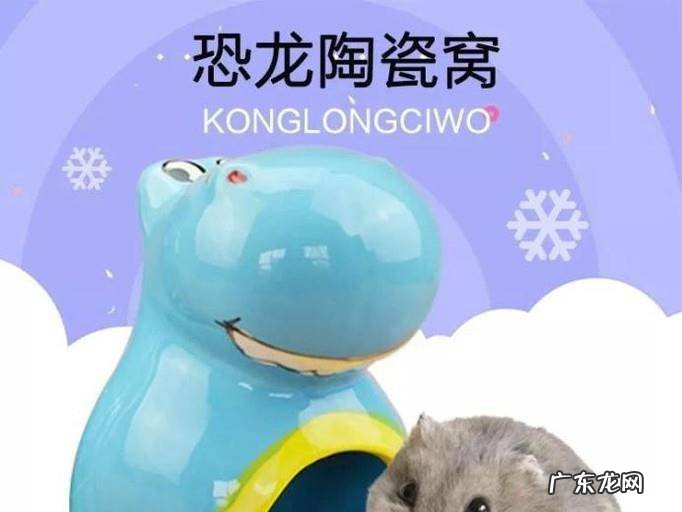 新手饲养仓鼠需要准备什么