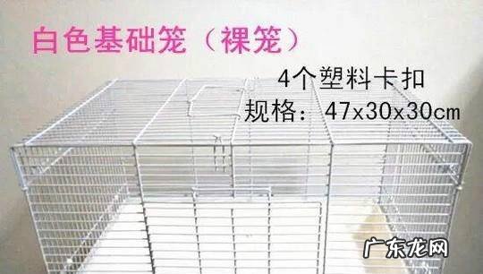 新手饲养仓鼠需要准备什么