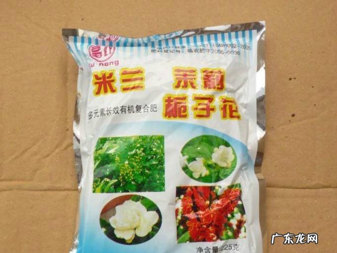 怎样在寒冷的冬天养护盆栽茉莉