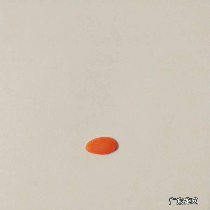 彩泥小蚂蚁的做法