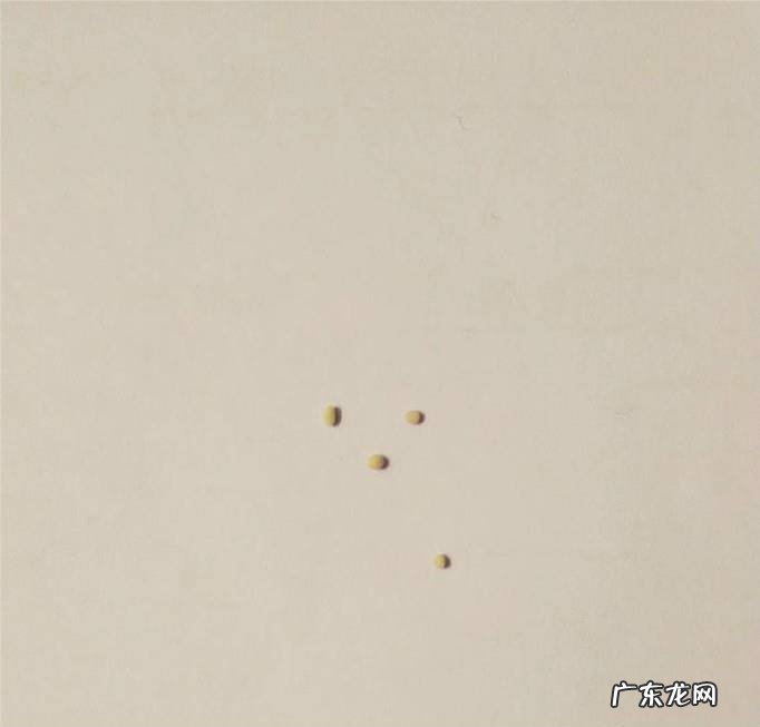 彩泥小蚂蚁的做法