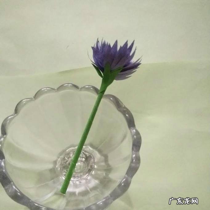 怎样制作手工剪纸菊花